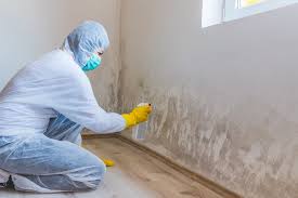 Mold Remediation for Vacation Homes in Genoa City, WI