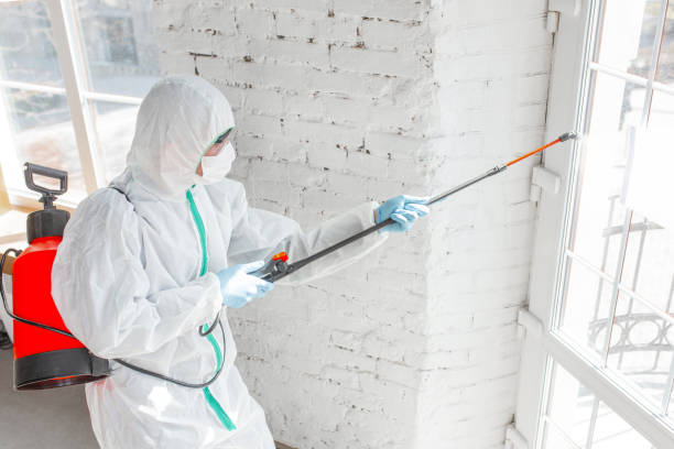 Why You Should Choose Our Mold Remediation Services in Genoa City, WI