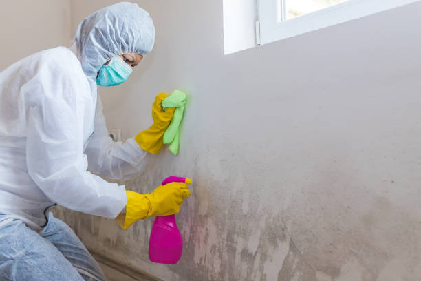 Best Commercial Mold Inspection  in Genoa City, WI