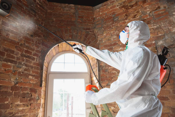 Best Emergency Mold Remediation  in Genoa City, WI