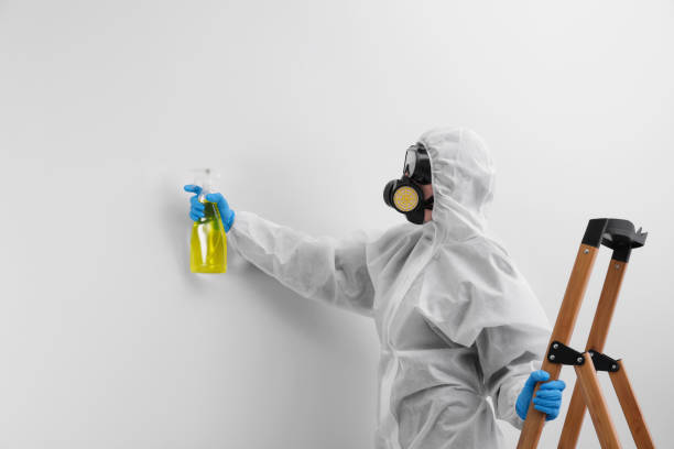 Best Black Mold Removal  in Genoa City, WI