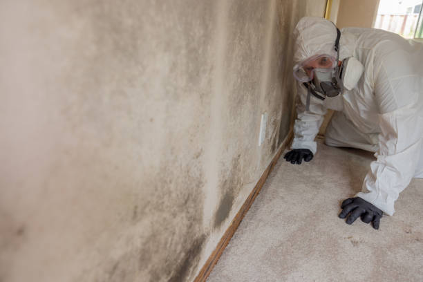 Best Mold Prevention Services  in Genoa City, WI